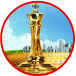 專(zhuān)業(yè)服務(wù)